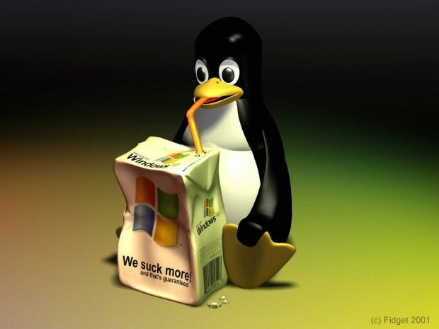 Linux battles Windows